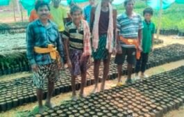 ଏମ୍‌ଜିଏନ୍‌ଆର୍‌ଇଜିଏର ଚାରା ପ୍ରକଳ୍ପର ଏନ୍‌ଏମ୍‌ଏମ୍‌ଏସ୍‌ ଫଟୋରେ ନାବାଳକ ଦୃଶ୍ୟମାନ! ୧୦ ହଜାର ଚାରା କାମରେ ଶ୍ରମିକ ଉପସ୍ଥାନକୁ ନେଇ ବଡ଼ ପ୍ରଶ୍ନ—ଫଟୋ, ମଷ୍ଟର ରୋଲ୍‌ ଓ ମଜୁରି ପ୍ରଦାନର ସରକାରୀ ଯାଞ୍ଚ ଦାବି